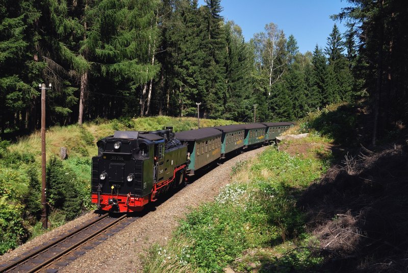 99 794 mit dem SDG 1004 bei Kretscham Rothensehma (24.08.2009)