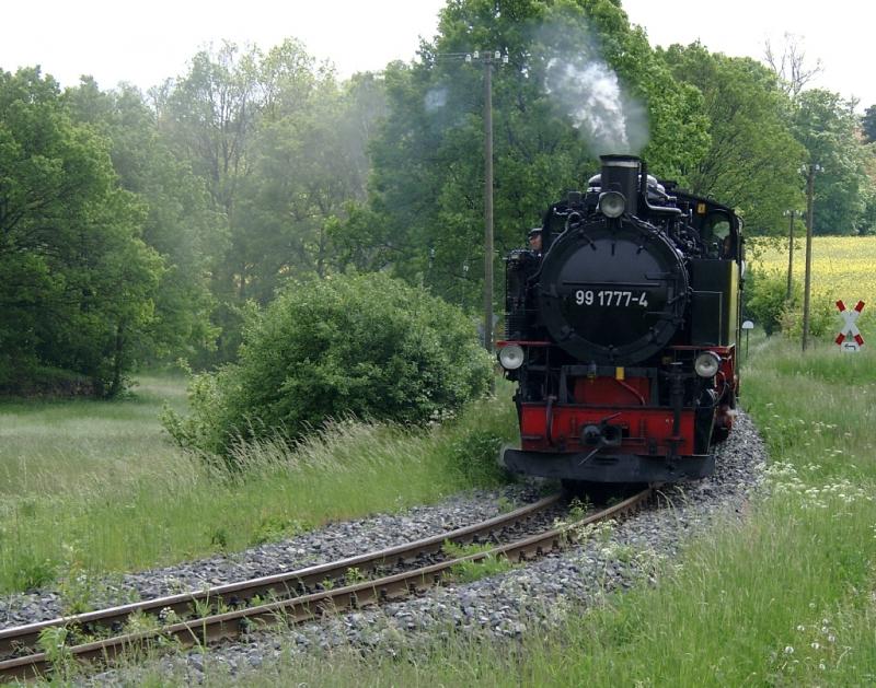 991777 mit Sonderzug Pfingsten 2004 von Radebeul nach Radeburg vor Bf Friedewald. 