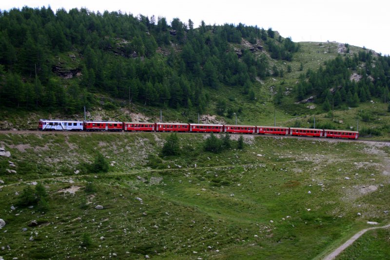 ABe 4/4 51 und 55 auf Bergfahrt mit dem Regio 1650 oberhalb der alp Grm am 31.7.2008. 