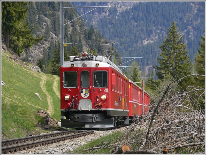 ABe 4/4 II 41 zieht den R1648 bei Cadera bergwrts. Es ist die Zeit des Holzschlags und berall riechts wunderbar nach frischem Harz. (06.05.2009)