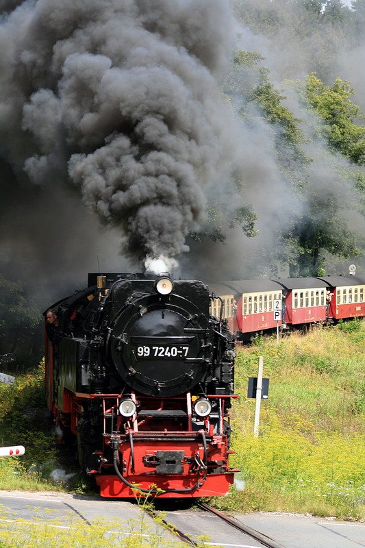 Absoluter Notschuss !!! Hatte das v�llig falsche Objektiv auf der Cam und es wie immer zu sp�t gemerkt ! Aber irgendwie hat das Bild auch irgendwas !