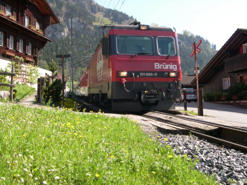 Abwrts geht es mit HGe 4/4 101 966-0 bei Lungern am 03.05.2006. Sie hat vor einer Stunde einen  Golden-Pass-Panoramic  nach Meiringen gebracht und ist nun mit einerm IR zurck nach Luzern unterwegs.