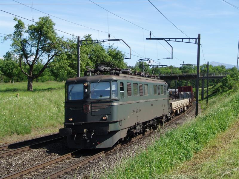 Ae 6/6 11411  Zug  (ohne Kantonswappen) am 25.5.05 kurz nach Mhlau
