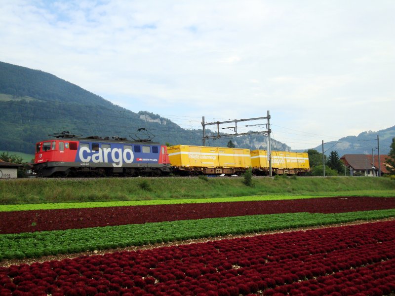 Ae 6/6 11489 mit Postzug bei Niederbipp am 25.08.2008