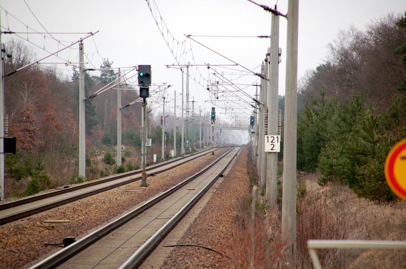 Alle Signale sind gr�n. Gesehen am 03.01.09 in Burgkemnitz.