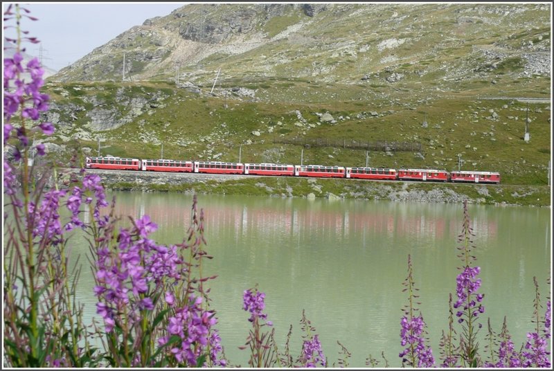 Als nchster Zug erscheint Bernina Express 971 aus St.Moritz auf der Bildflche, gezogen von zwei ABe 4/4 II. (10.09.2008)