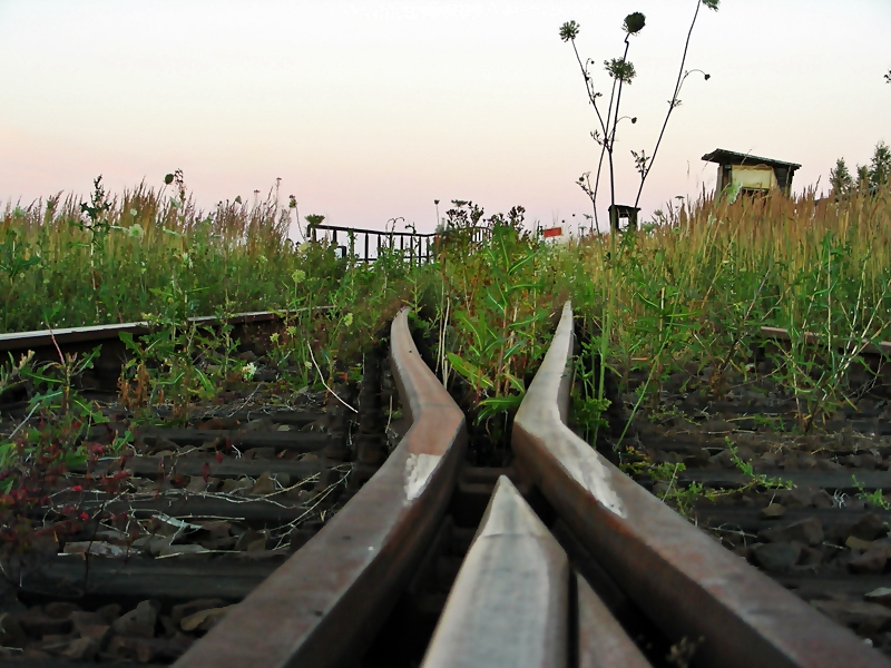 alte Gleisanlagen im ehem. Grenzbahnhof Oebisfelde, 14.07.06
