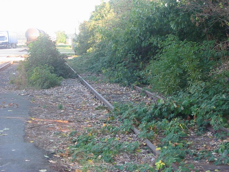 Altes Bahngleis in der nhe einer Chemiefirma hier fuhren frher sehr viele Kesselzge oder Tank Zge
Gelnde ist zugnglich hier befindet sich sogar eine Bank wo man sich hinsetzten kann.
