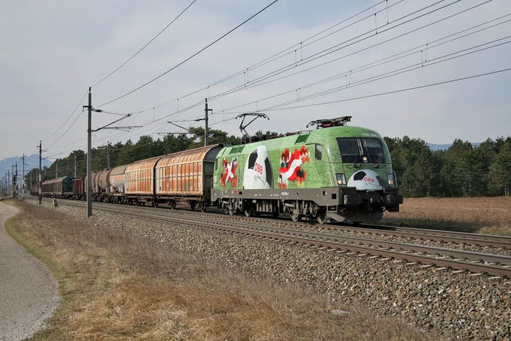 Am 07.03.2008 bespannte die 1116.264  Euromotion 
den DG 54042.
Foto: Zwischen Neunkirchen und St. Egyden.
http://www.eisenbahnbilder.webgarden.at