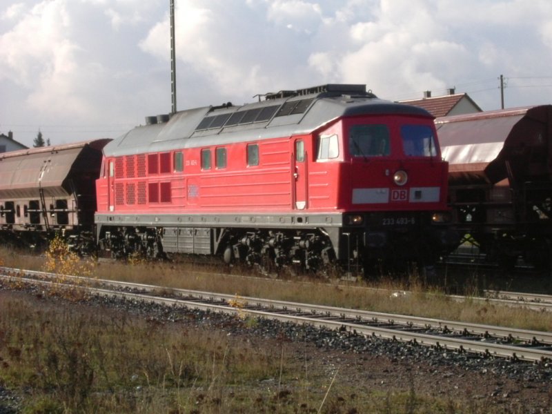 Am 09.11.2004 wurde 233 493 als Ersatz fr die 363 118, die einen Federbruch erlitten hatte. Hier fhrt sie gerade in den Bahnhof Hirschau ein. (Strecke Amberg-Schnaittenbach)