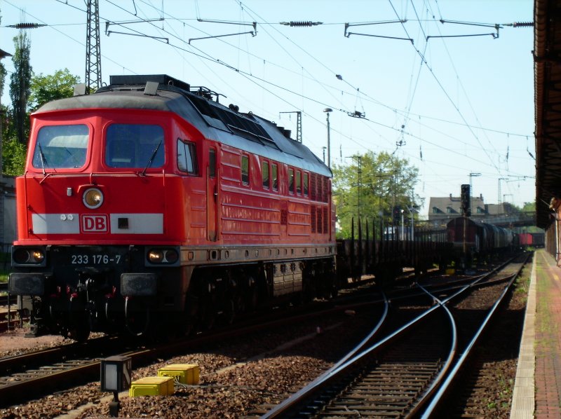 Am 10.05.2008 fhrt, 233 176 mit einem gemischten Gterzug, durch Gnitz.
