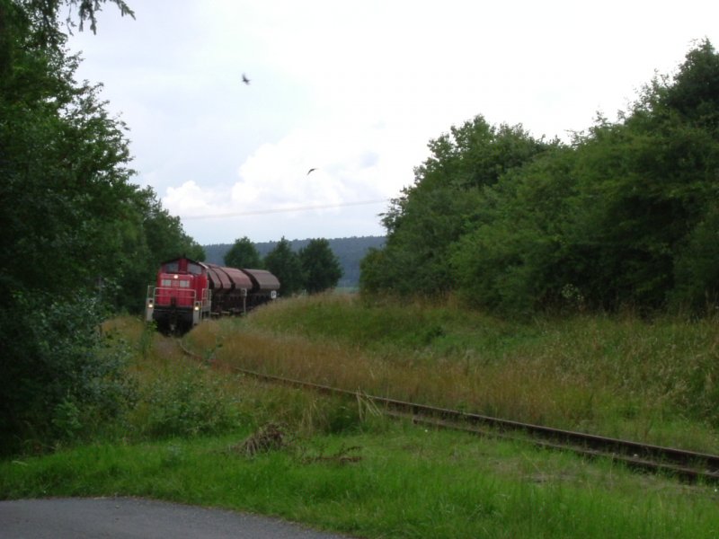 Am 10.07.2007 fhrt 294 598 mit einem Gterzug nach Hirschau an Gebenbach vorbei. (Strecke Amberg-Schnaittenbach)