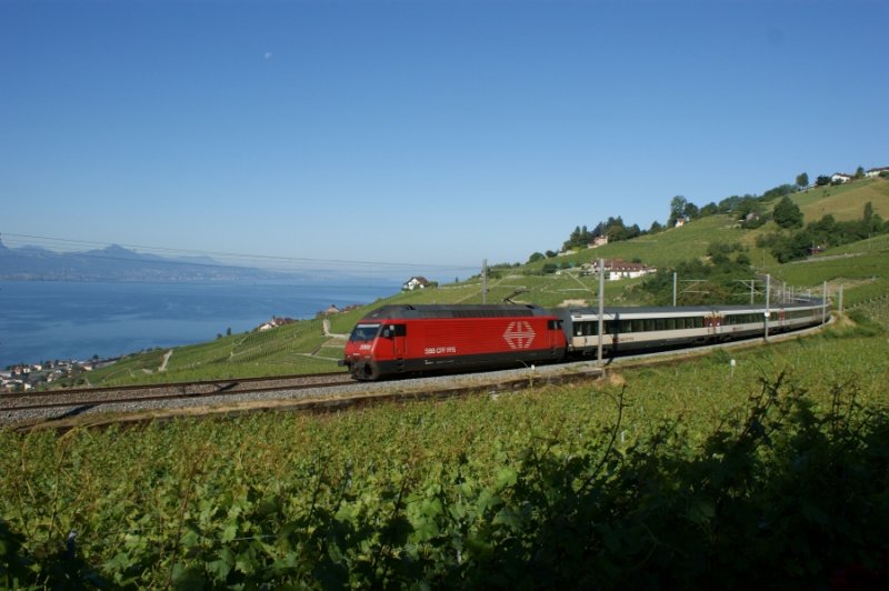 Am 13. Juni 2009 ist in der Lavaux, hoch ber dem Genfer See ein IR mit Re 460 in Richtung Freiburg unterwegs. Der Zug hat soeben Grandvaux passiert und den Tunnel du Grandvaux durchfahren und strebt nun Puidoux-Chexbres entgegen.