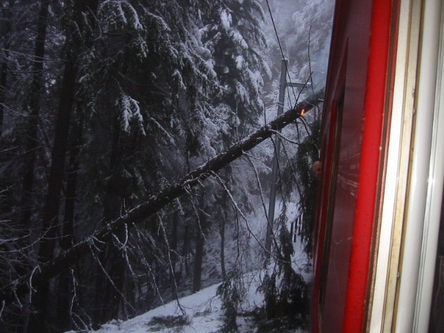 Am 13.1.08 sas ich zwischen Solis und Sils im Zug.Auf einmal bremste der Zug rasant ab.Da lag ein Baum auf der Schiene.Die Fahrleitung hat den Baum noch so gehalten,dass der Zug gerade noch untendurch mochte.