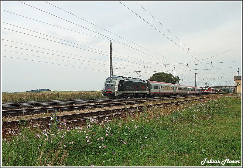 Am 16.September 2009 traute sich die World-Record-Lok 1216 025 wieder einmal auf die Westbahn. Sie hatte den OIC 642 am Haken und fuhr mir im Bahnhof Kirchstetten vor die Linse.