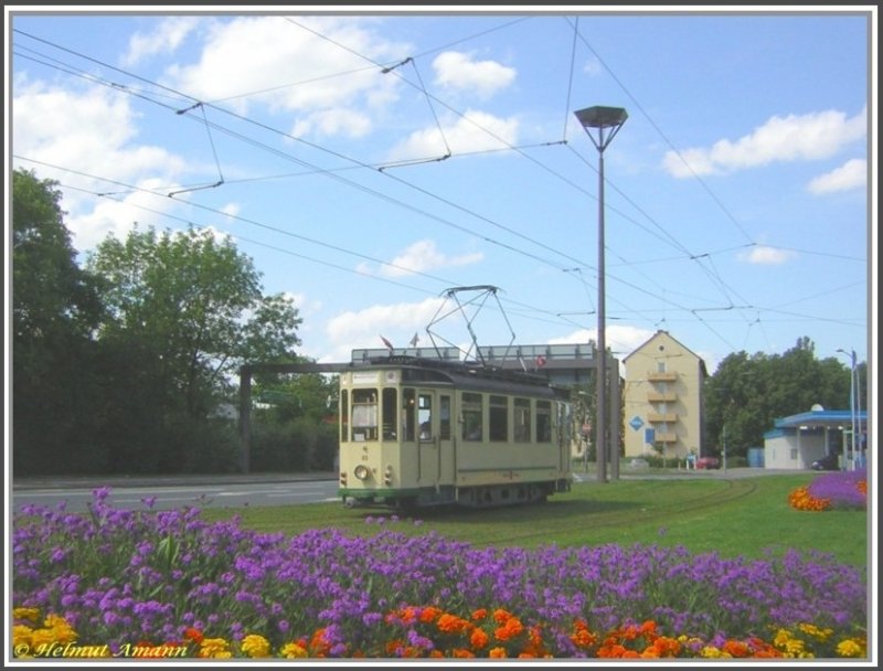 Am 17.06.2007 ergab sich bei der Sonderfahrt auf dem Netz der Mainzer Straenbahn mit dem Triebwagen 93 (Baujahr 1929 Gastell/SSW) dieses schne Motiv mit dem farbenfrohen Blumenbeet kurz vor der Haltestele Pariser Tor.
