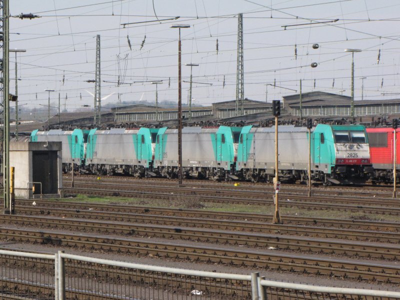 Am 21.03.09 war in Aachen West diese Reihe von 186 abgestellt ,von rechts nach links:2825,2815,2819 und 2823.  (Randbemerkung:Desweiteren rangierten 2814 und 2809 ausserhalb des Bildes)