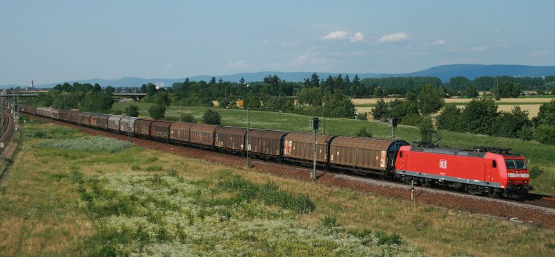 Am 24.06.08 bespannt 185 126 einen aus Schiebewandwagen gebildeten G�terzug und zieht diesen am fr�hen Abend an der Ortschaft Neulu�heim vorbei.