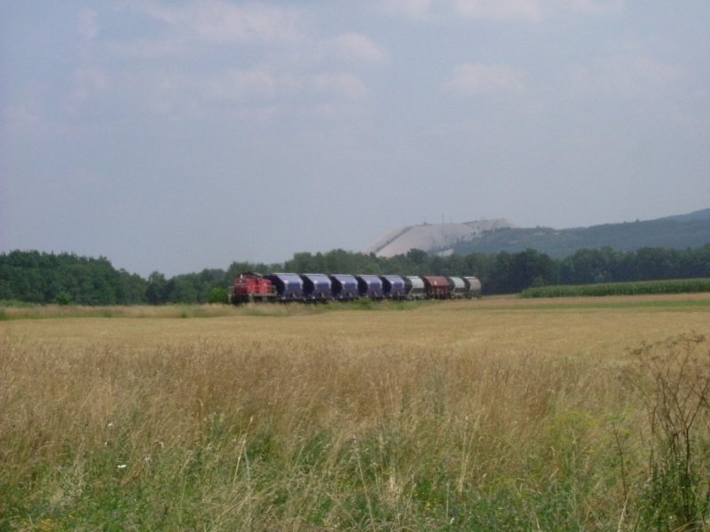 Am 25.07.2006 zieht 294 685 auf dem Weg nach Amberg einen voll ausgelasteten Gterzug die Steigung zur Wasserscheide hinauf. Im Hintergrund ist das Wahrzeichen der Region um Hirschau -der Monte-Kaolino- zu sehen. (Strecke Amberg-Schnaittenbach)
