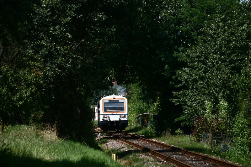 Am 29. Juli pendelte der VT 125 zwischen Achern und Ottenh�fen. Die Aufnahme entstand bei Achern Stadt.