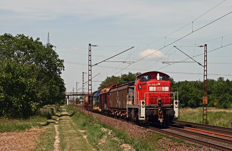 Am 3. Juni 2009 bef�rdert 294 658 einen sch�nen �bergabezug in Richtung Karlsruhe. Die Aufnahme entstand zwischen Muggensturm und Malsch.