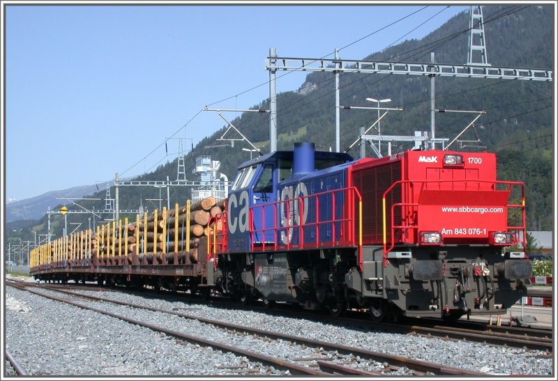 Am 843 076-1 mit sechs Transwaggon Langholz auf der zufahrt zur Sgerei Stallinger in Ems Werk.(20.06.2007)