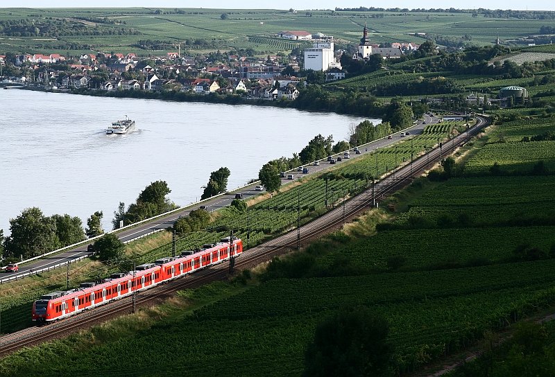 Am Abend des 14. August 2008 fahren zwei 425 als RB 44 von Mannheim Friedrichsfeld nach Mainz. Die Aufnahme entstand in den letzten Sonnenstrahlen aus den Weinbergen von Nierstein.
