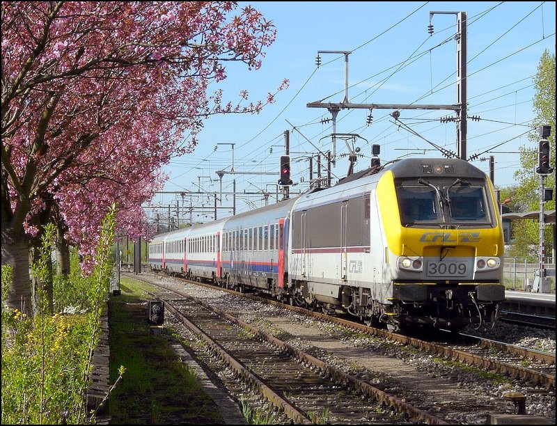 Am Bahnhof von Mersch blhen jetzt auch die Bume. E-Lok 3009 mit SNCB Wagen fhrt am 27.04.08 aus Richtung Lttich in den Bahnhof von Mersch ein.