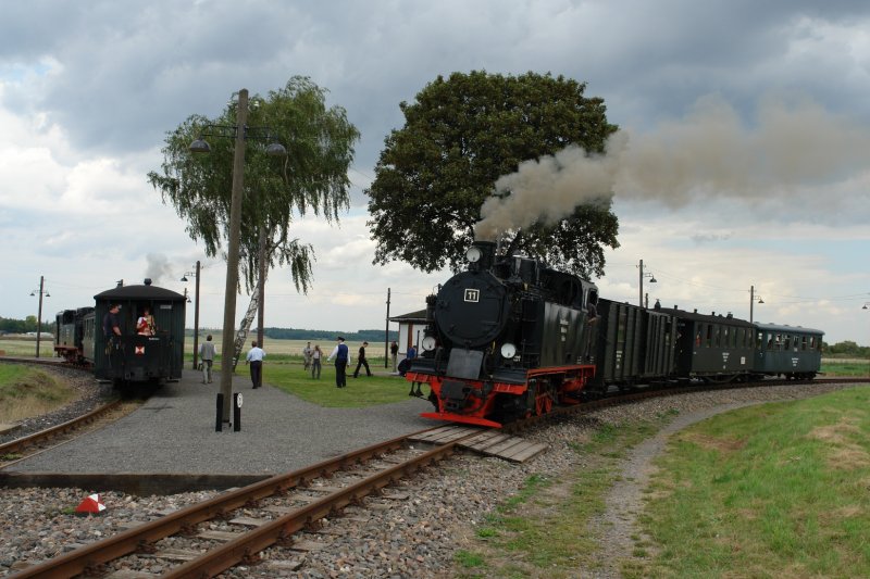 Am Gleisdrieck Siersleben fand an diesem Tag immer eine Zugbegegnung statt, da im Stundetakt gefahren wurde. Dabei waren drei Dampflokomotiven im Einsatz, von denen hier Lok 9 und Lok 11, gebaut bei der Fa. Orenstein & Koppel, zu sehen sind. (18.08.07)