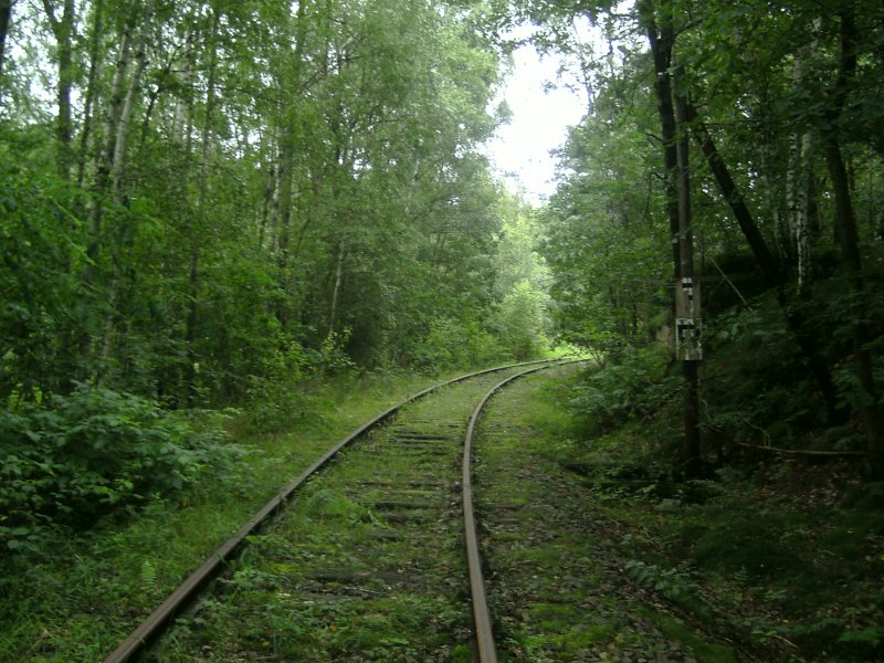 Am km 3,9 der Anschlussbahn Pirna-Herrnleite steht immer noch ein Telegrafenmast mit zwei Pfeiftafeln am 18.Juli 2009