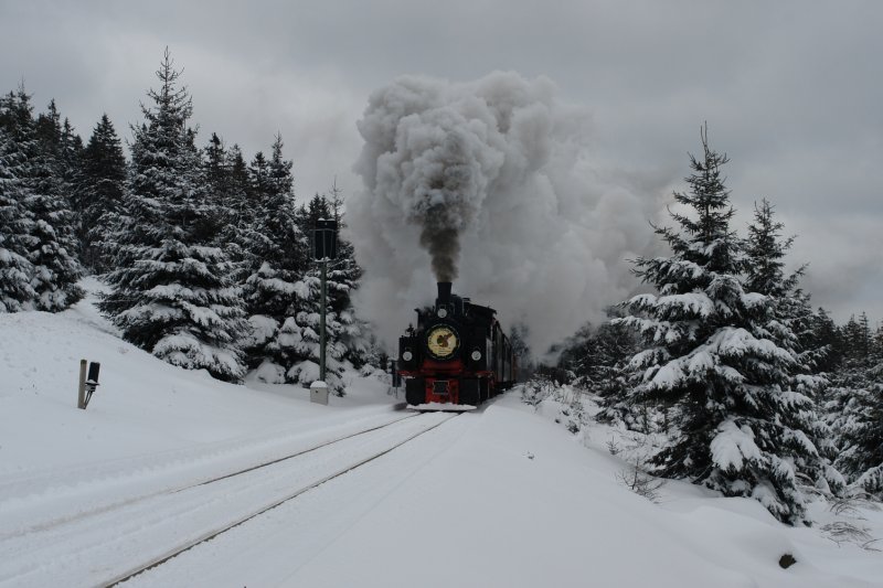 Am Ostersonntag war im tief verschneiten Harz der Ostersonderzug der HSB unterwegs zum Brocken. Hier befindet sich der Zug mit 99 5901 kurz vor der ersten Kreuzung der Brockenstra�e hinter Schierke. Schade, dass die alte Dame kein Licht angehabt hatte. (23.03.08)