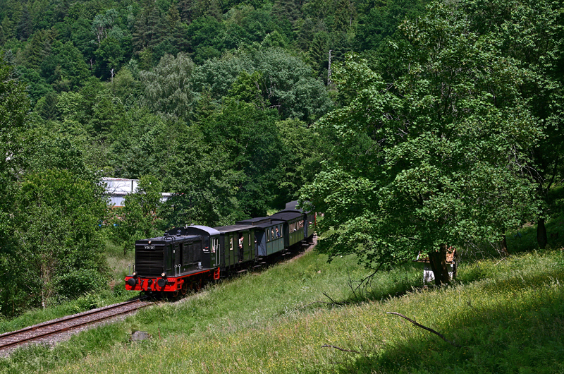 Am Pfingstwochenende 2009 feierte das Kuckucksbhnle von Lambrecht (Pfalz) nach Elmstein Jubilum. Dazu kamen insgesamt drei Dampfloks zum Einsatz. Da eine Dampflok leider ausfiel, musste die Garnitur dieser Lok von der V36 117 des Neustdter Eisenbahnmuseums gezogen werden. Am 31. Mai 2009 ist die kleine Lok mit ihrem Zug gerade bei Frankeneck unterwegs – Die Hchstgeschwindigkeit auf dieser Strecke betrgt halsbrecherische 20 km/h. ;-)