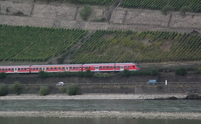 Am Rhein kurz vor R�desheim.