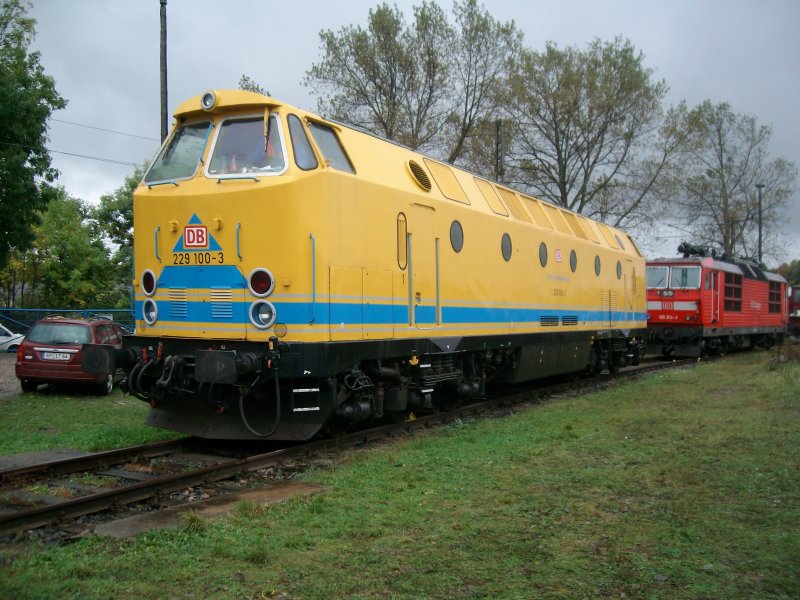 Am verregneten Sonntag den 11.10.09 stand die 229 100-3 zum Saisonausklang im ehemaligen BW Weimar.