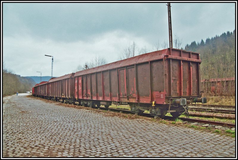 An der Holzladestelle in Br�gge (Westf) stehen einige G�terwaggons zur Abholung bereit. Aufgenommen Ende M�rz 2007