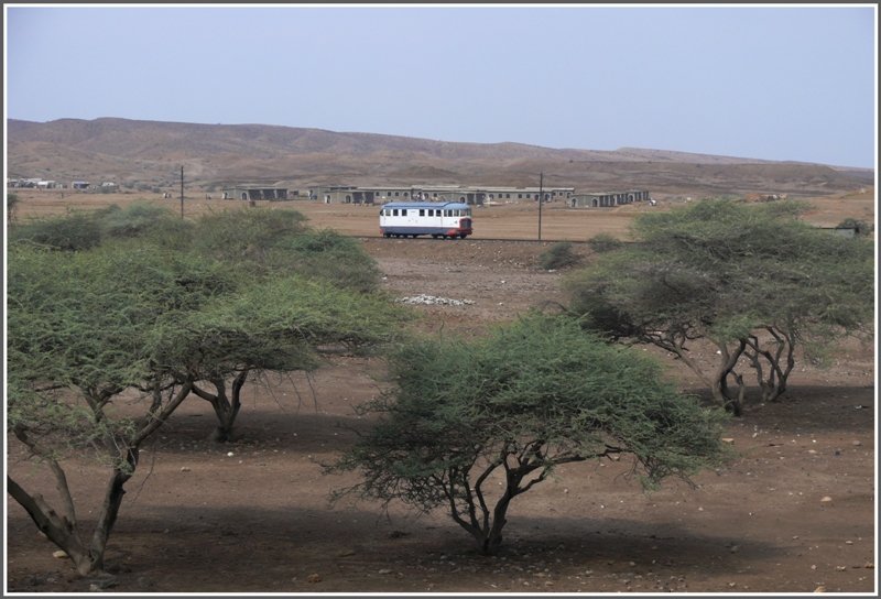 Ansonsten berwiegen wieder diese stacheligen Schirmakazien. Nach passieren eines riesigen Zeltlagers mit somalischen Flchtlingen sind im Hintergrund auch feste Behausungen zu sehen.(30.10.2008)
