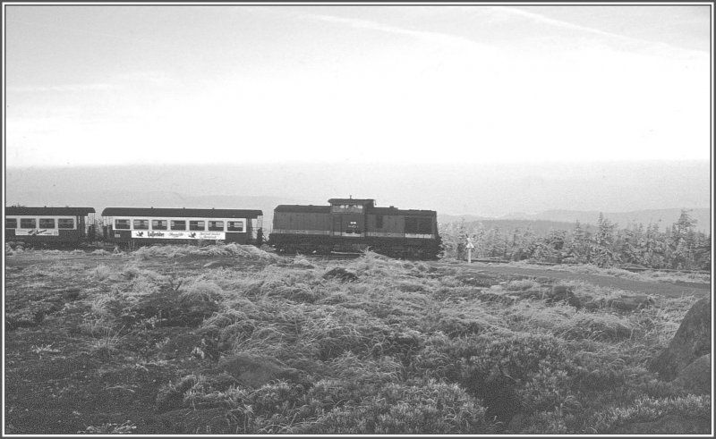 Auch ein Kamel hat sich auf den Brocken verirrt. (Archiv 12/94)