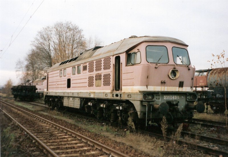 Auch sie hatte keine Zukunft mehr.231 043 im AW Cottbus.14.11.98
