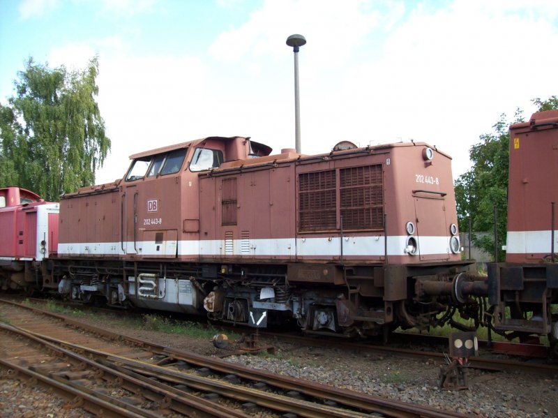 Auch sie hofft auf eine bessere Zukunft. Die 202 443-8 am 15.09.07 in Stendal.
<a href= http://staedte.kaposo.de  target= _blank ><img src= http://www.Bahnbilder.de/counter/counter_new.php?key=293281525  alt= Städte auf Kaposo  title= Städte auf Kaposo  border= 0  /></a>