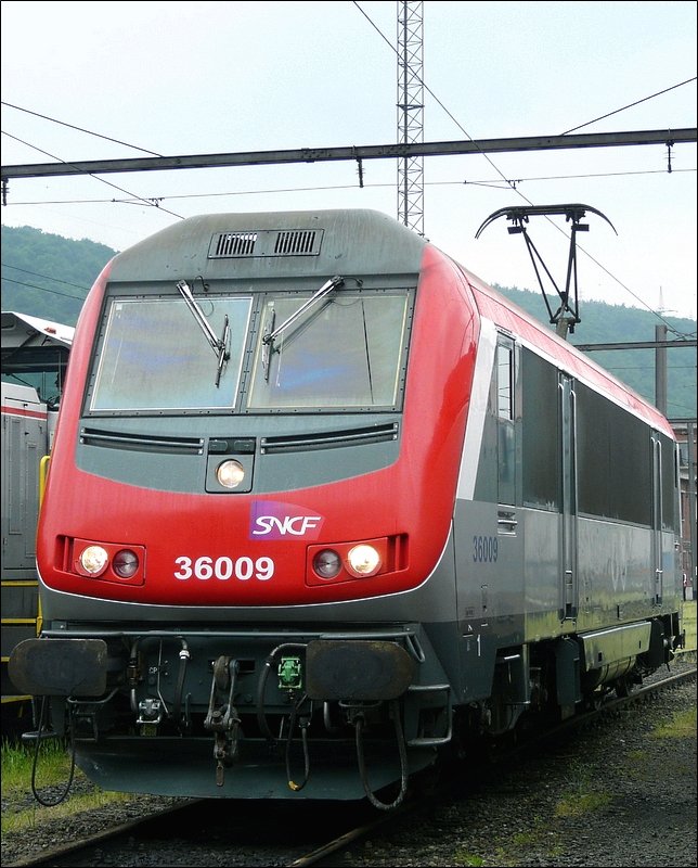 Auch SNCF E-Lok 36009  Traction Kinkempois/Grande Synthe  war am Tag der offenen Tr in Kinkempois zu Gast. Diese franzsischen Loks (Astride) trifft man oft in Belgien an. Sie haben einen 3. Stromabnehmer und knnen deshalb auf verschiedenen Stromsystemen fahren, auerdem haben sie Sicherheitsausrstungen fr verschiedene Lnder. Die ersten 30 Nummern dieser Baureihe sind rot (Voyageurs), sie werden hauptschlich im Personenverkehr eingesetzt. Die letzten 30 Nummern sind grn (Fret) und werden im Gterverkehr eingesetzt. 18.05.08