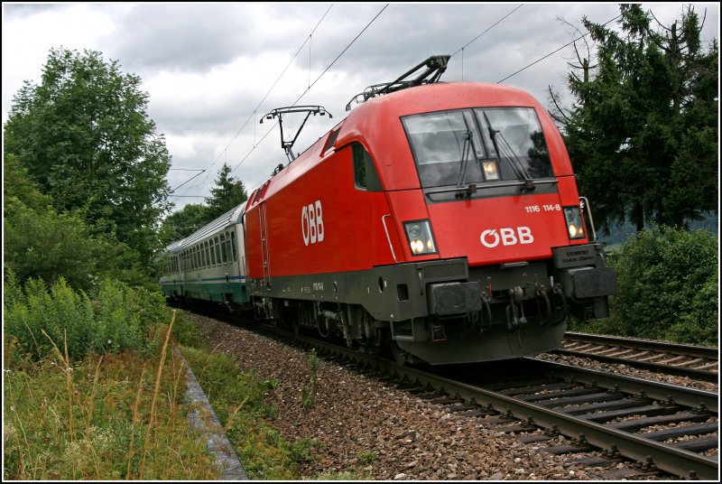 Auch wieder da;-) Die Salzburger 1116 114 bringt bei Oberaudorf den  EC87  T I E P O L O , von Mnchen Hauptbahnhof nach Venezia Santa Lucia, zum Brenner/Brennero. (05.07.07)