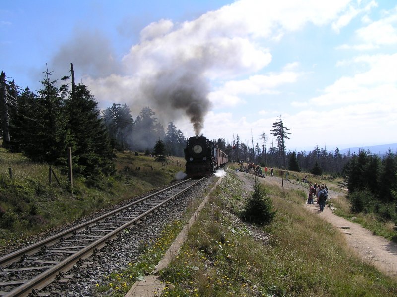Auf dem Foto ist einer der vielen Brockenbahnen zu sehen (bis November fahren sie nach dem Sommerfahrplan und fast alle 50 Minuten f�hrt ein  Zug zum Brocken - bis ca. 18 Uhr). Das Foto hab ich am ca. 2 Kilometer langen Bahnparallelweg zum Brocken gemacht! Von da hat man einen sch�nen Blick auf Torfhaus! Bis zum Brockengipfel sind es noch 4 Kilometer (mit Fahrrad wegen der holzstege ungeeignet, man mu� das Rad viel tragen) 
Das Foto hab ich am 09. September gemacht! �brigens: Die Werbung auf der Lok steht f�r die Landesgartenschau in Wernigerode :)