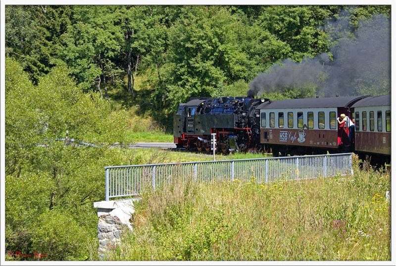 Auf dem Weg zum Brocken. Aufnahme entstand kurz hinter dem Bahnhof Sorge. Zuglok war 99 7241-5 
12.08.2007