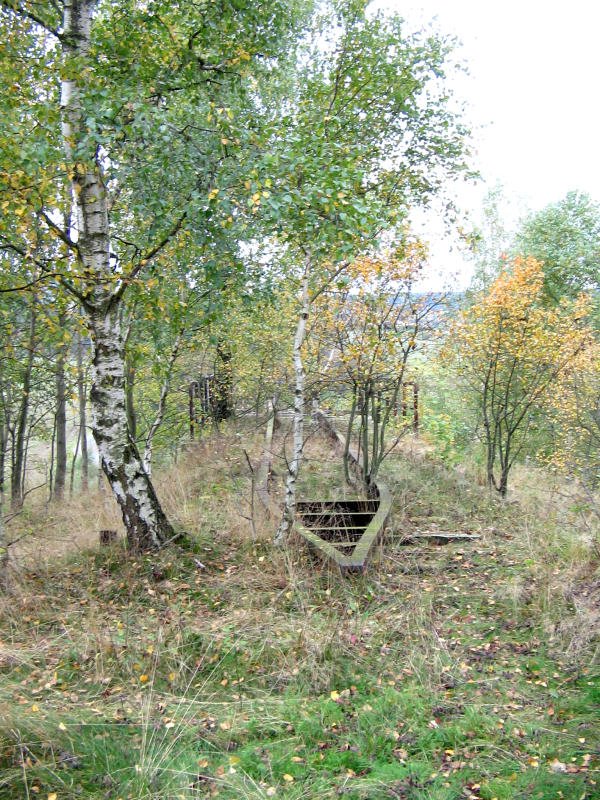 Auf dem Widerlager der Scheibenberger Seite des Schlangenbachtalviaduktes sind sogar noch die Leitschienen vorhanden. Ebenso findet man auf etlichen Kilometern der Strecke noch die Holzschwellen beziehungsweise Reste davon. 03.10.07