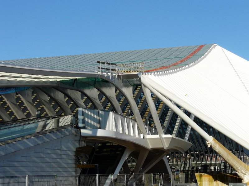 Auf diesem Bild sieht man einen Teil des Daches des Bahnhofes von Lige Guillemins mit den filigran anmutenden Sttzpfeilern, welche der ganzen Konstruktion eine gewisse Leichtigkeit verleihen. 17.02.08   