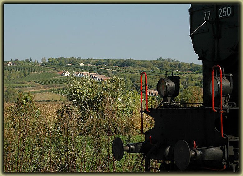 Auf diesem Foto ist eine typische Weinviertler Kellergasse zu sehen inkl. Detail der Brenner&Brenner Lok 77.250 (ex. �BB 77.244), aufgenommen in Haugsdorf beim Wasserfassen am 22.9.2006.