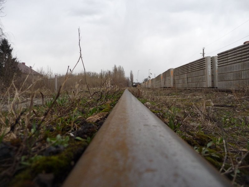 Auf diesen Gleisen nahe der Bahnhaltestelle Korneuburg wird vermutlich nie wieder ein Zug fahren... (18.03.09)