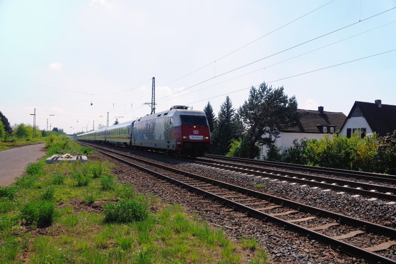 Auf ihrer  Hausstrecke  unterwegs: 101 070-1  Adler Mannheim  vor einem IC von Mannheim nach Frankfurt auf der Rennstrecke zwischen Bensheim und Bickenbach. (Mai 2009).