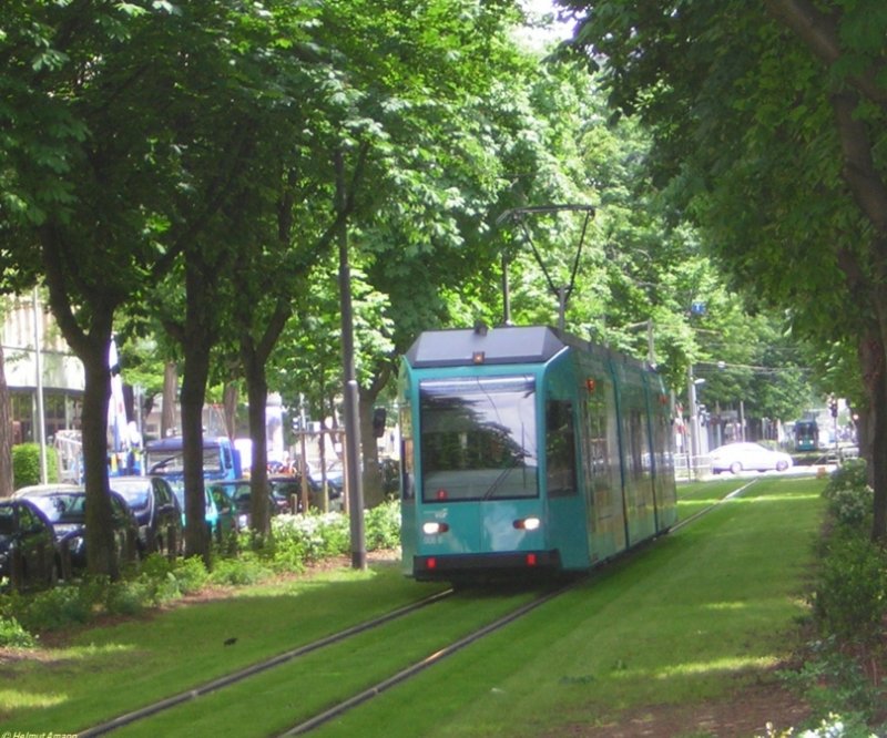Aufgrund von Einwendungen der Anwohner und von Naturschtzern durfte die Rebstockstraenbahn im Abschnitt zwischen Varrentrappstrae und Nauheimer Strae nur eingleisig gebaut werden, um den im Bild zu sehenden Baumbestand zu bewahren. Dieser gab dem R-Triebwagen 006 als 2. Zug der Linie 17 zum Rebstockbad am 01.06.2006 auf dem Rasengleis einen Hauch von Dschungel-Expre.