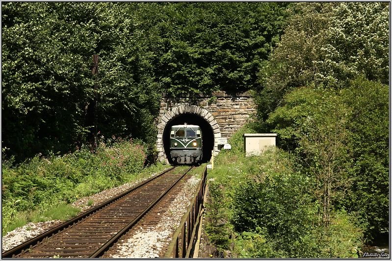 Aus dem Sdportal des Twimbergertunnel fhrt Diesellok 2050 04 mit Sonderzug 19815 von Leoben nach Lavamnd. Twimberg 10.08.2008